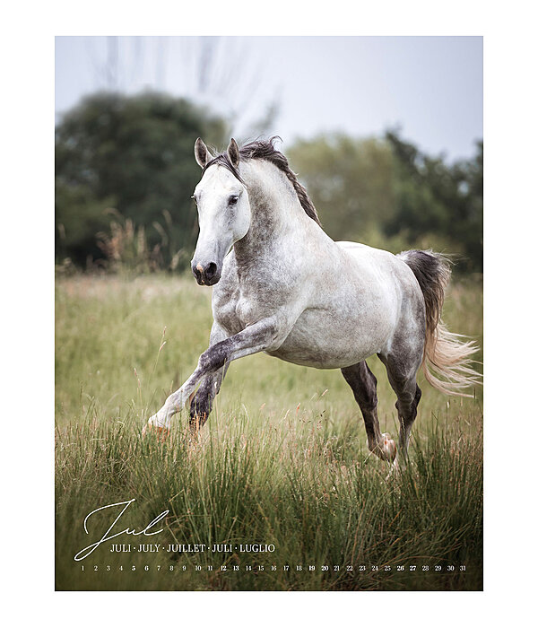 Kalender paardenliefde 2025