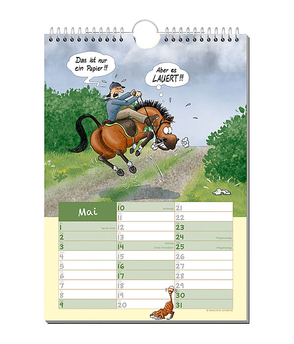 Paardenverhalen: comic kalender 2026