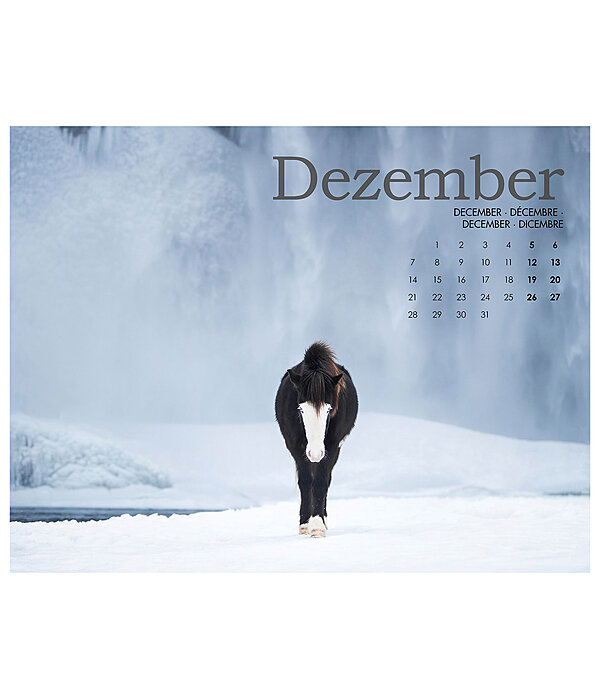 IJslander kalender 2026