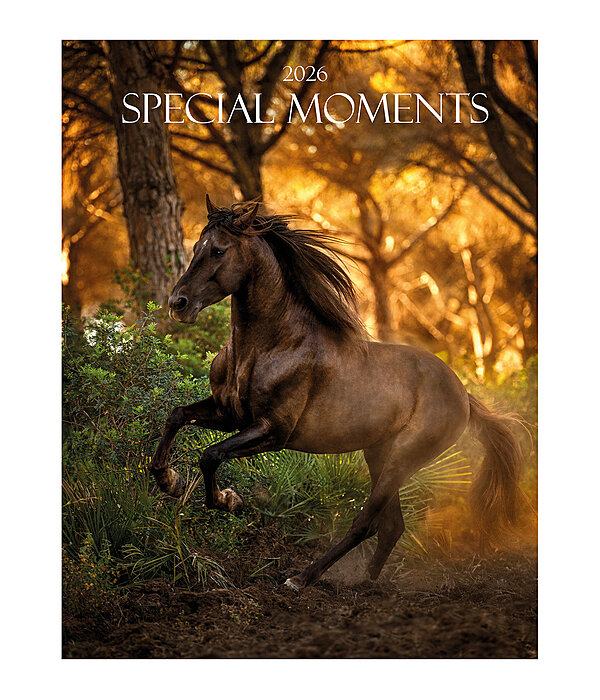 Special Moments Kalender 2025