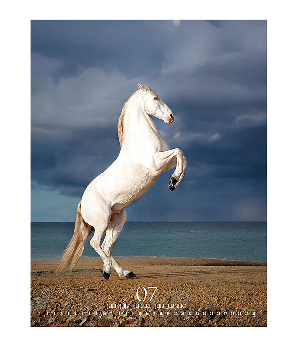 Special Moments Kalender 2025
