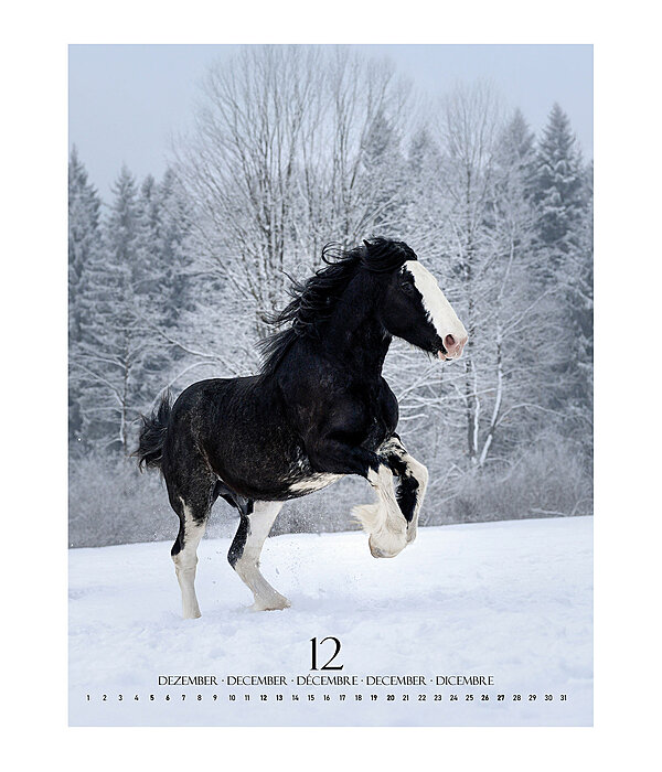 Special Moments Kalender 2025