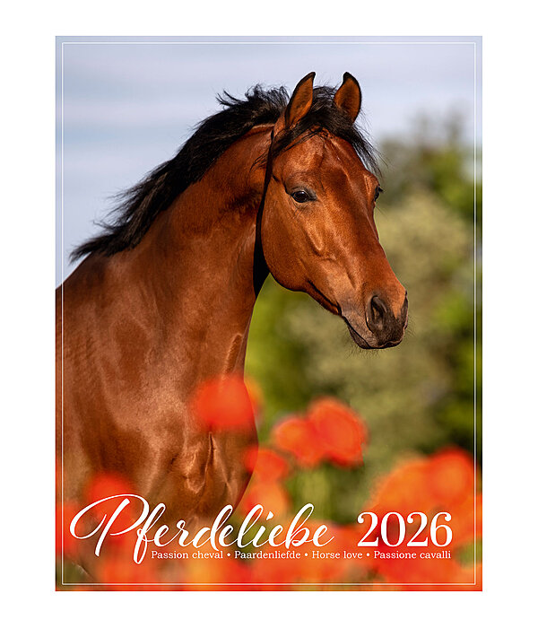 Pony kalender 2025