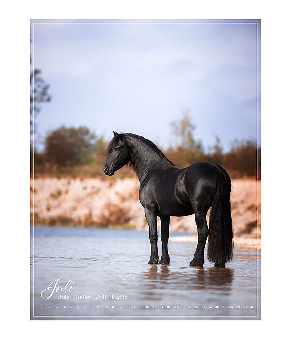 Pony kalender 2025