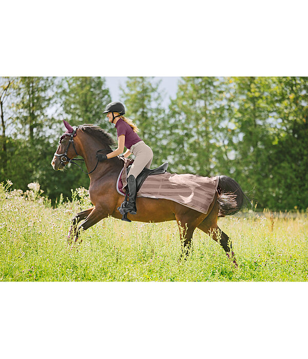 vliegen uitrijdeken Economy Light