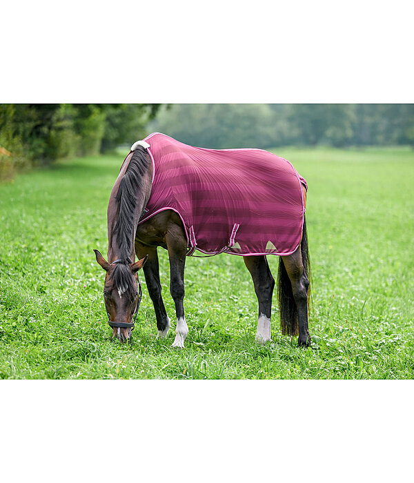 vliegenbeschermende Walker Economy Light