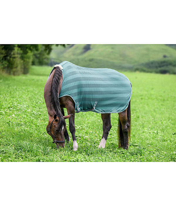 vliegenbeschermende Walker Economy Light