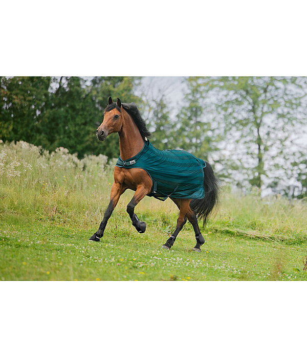 vliegenbeschermende Walker Economy Light