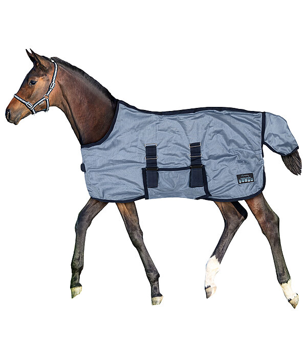 veulen- en minishetland vliegendeken Kubi Fly