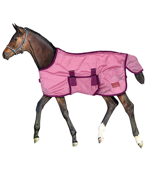 veulen- en minishetland vliegendeken Kubi Fly