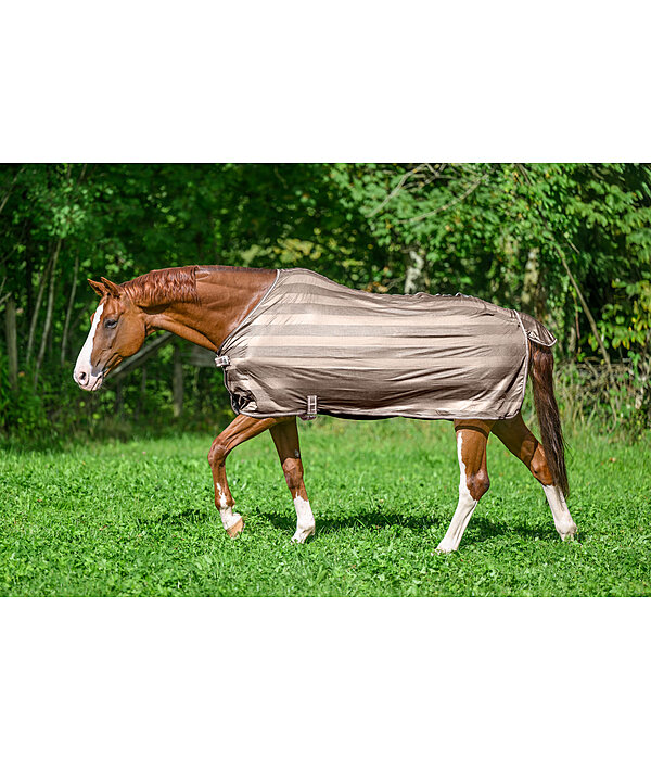 vliegendeken Economy Light