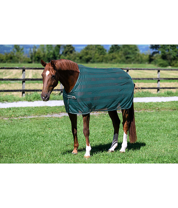 vliegendeken Economy Light