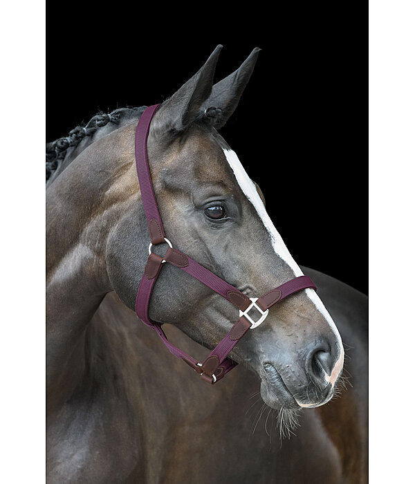 halster Kate