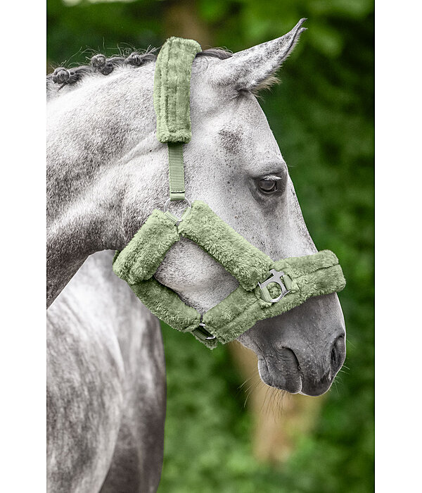 teddyfleece halster Protection