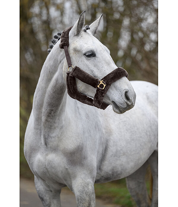 teddyfleece halster Protection