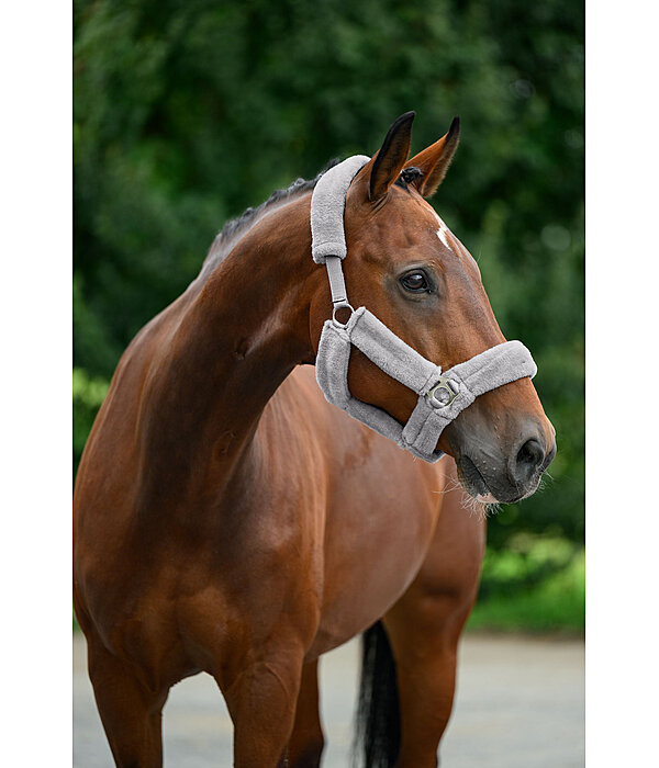 teddyfleece halster Protection