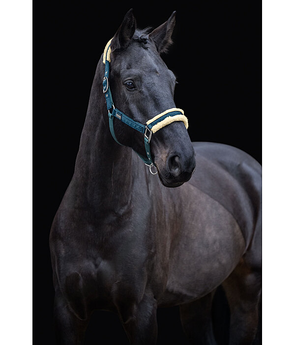 halster Sparkling II