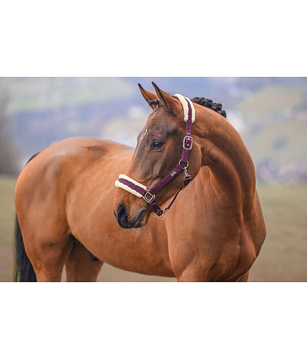 halster Sparkling II