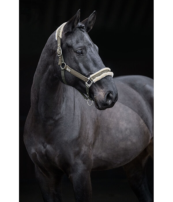 halster Sparkling II