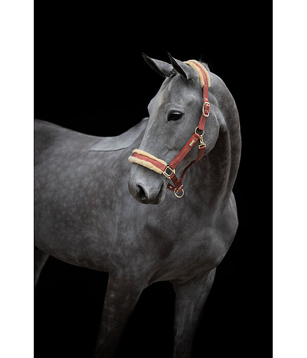halster Sparkling II