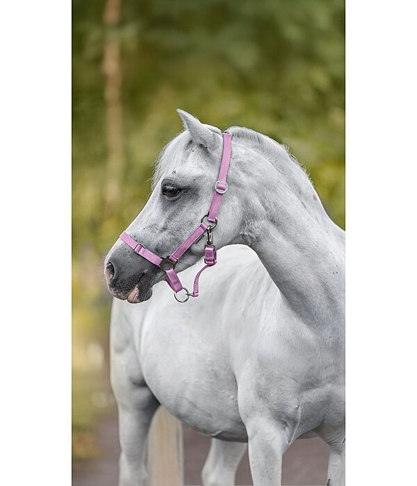 veulen- en shettyhalster Grow With You