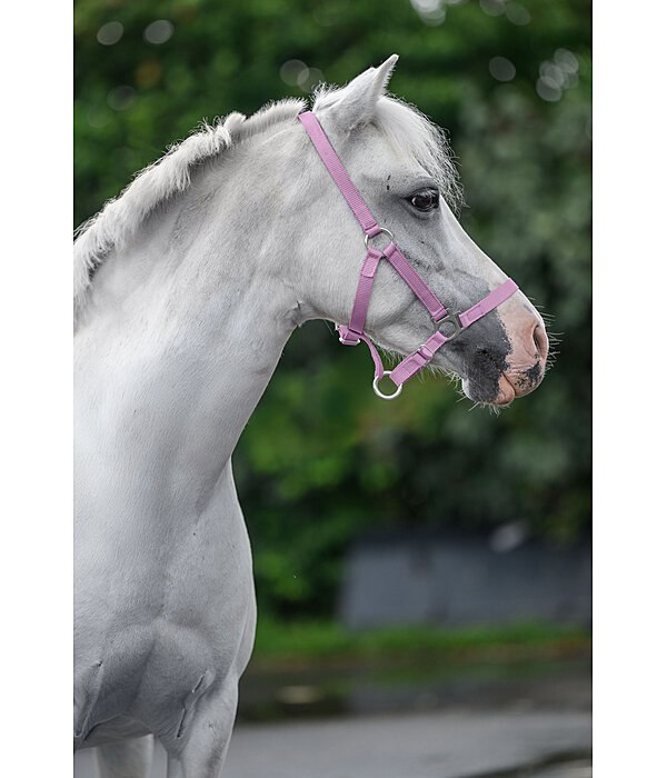 veulen- en shettyhalster Grow With You