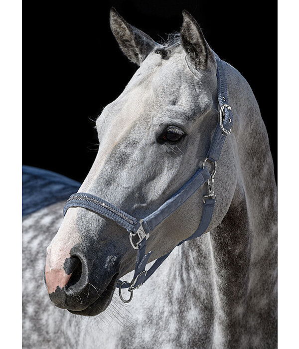 halster Cord & Glamour