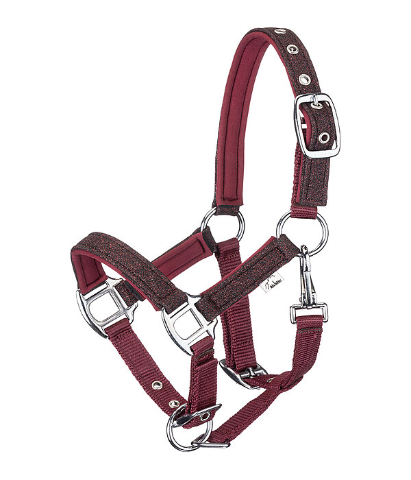 veulen en shetty halster Twinkle