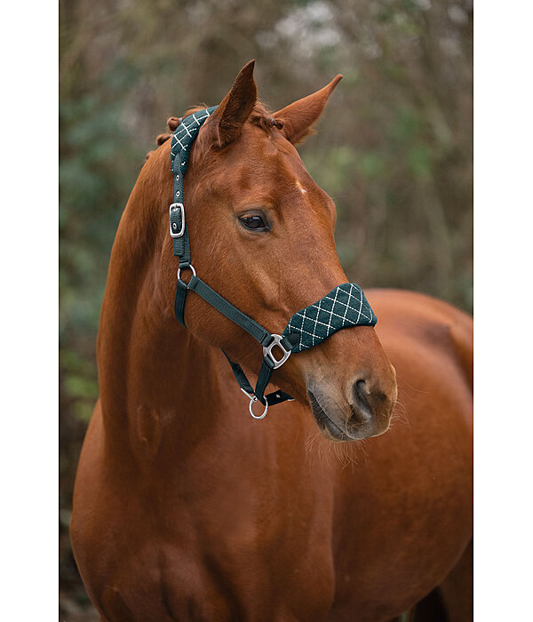 halster Softy