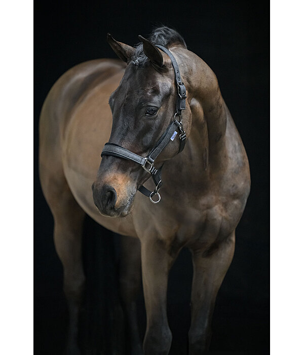 halster Velvet Twinkle