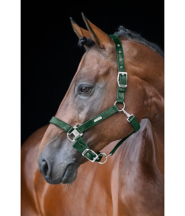 halster Velvet