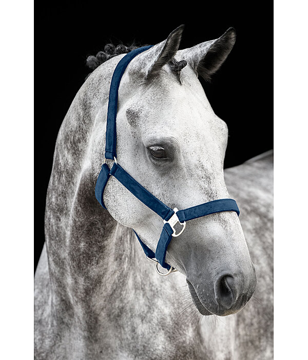 halster Velvet