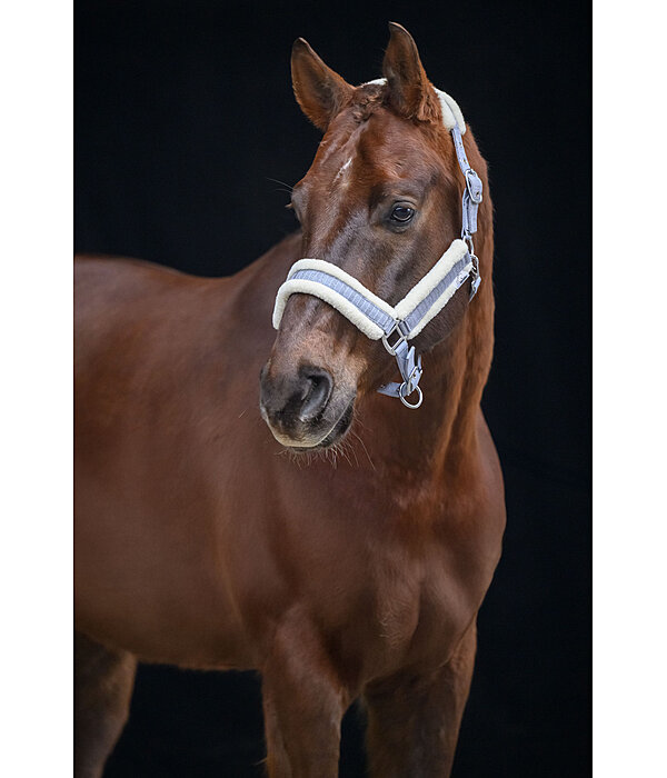halster Shine