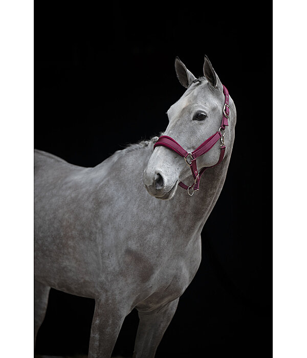 halster Soft Velvet