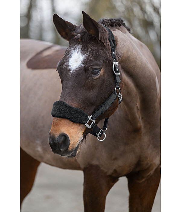 teddyfleece halster