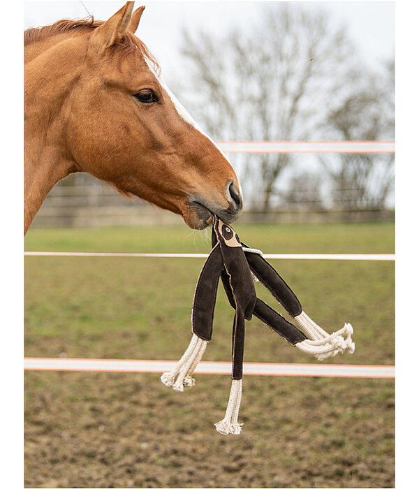 paardenspeelgoed Luiaard