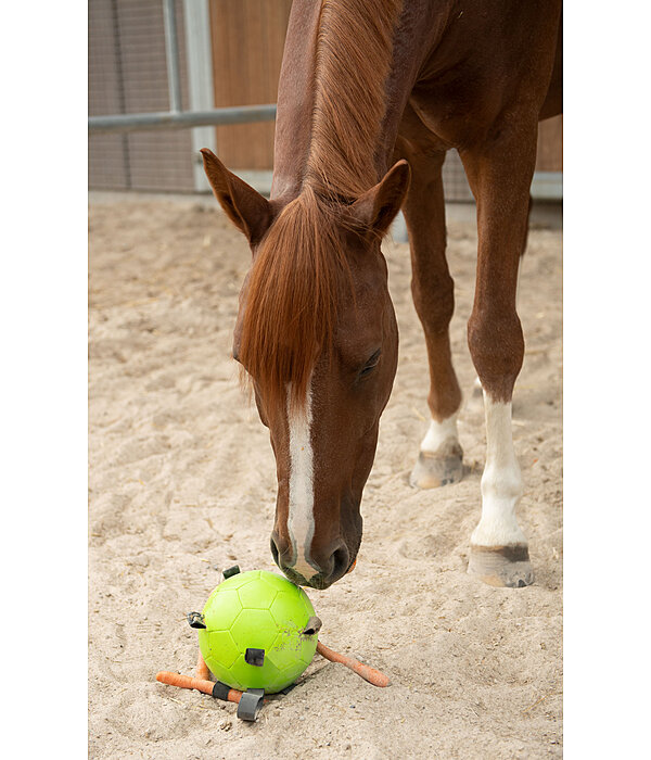 Fun Play Ball