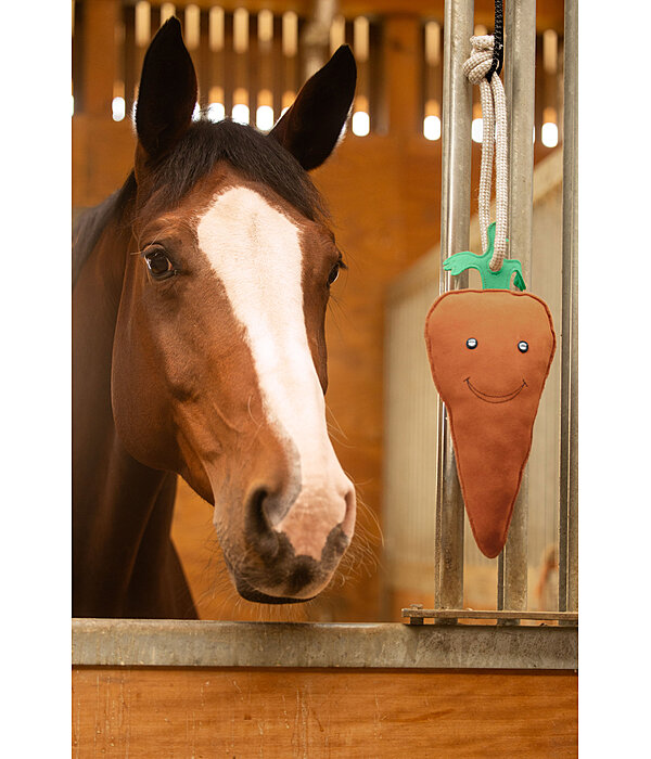paardenspeelgoed Carrot