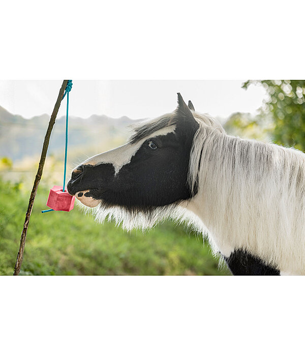 lolly liksteen watermeloen