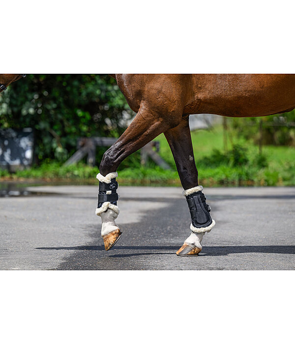 Air beenbeschermers, voorbenen