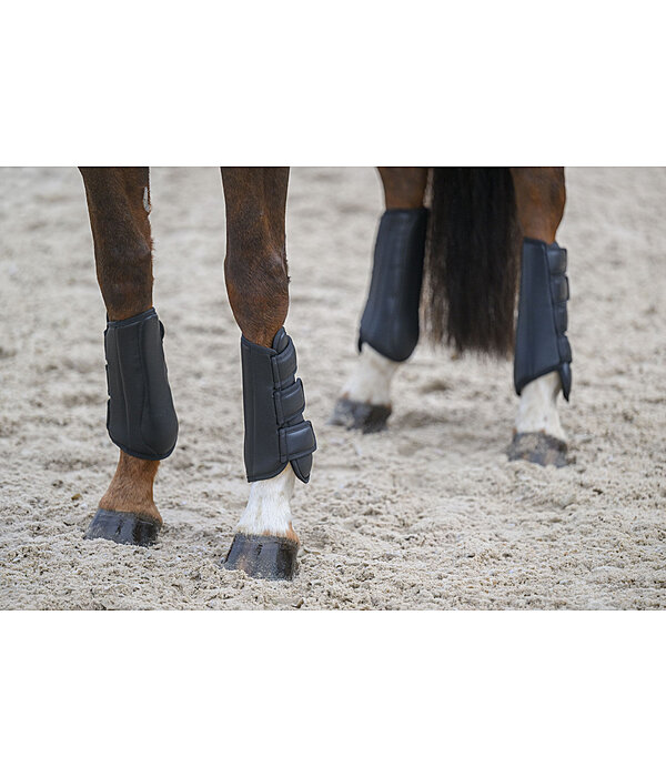 dressuur beenbeschermers All Day, voorbenen
