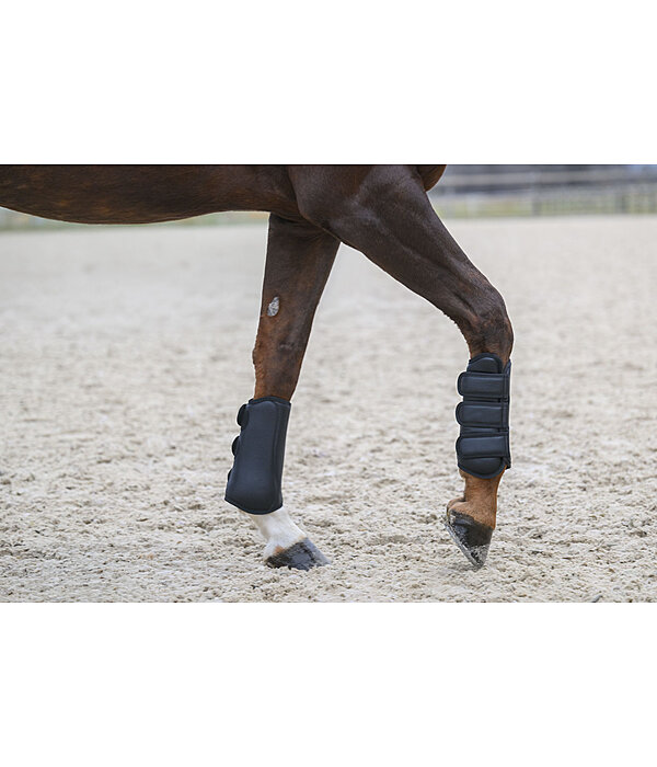 dressuur beenbeschermers All Day, voorbenen