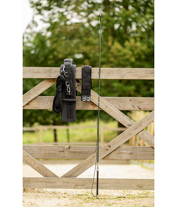 longeerzweep telescopisch Ultralight