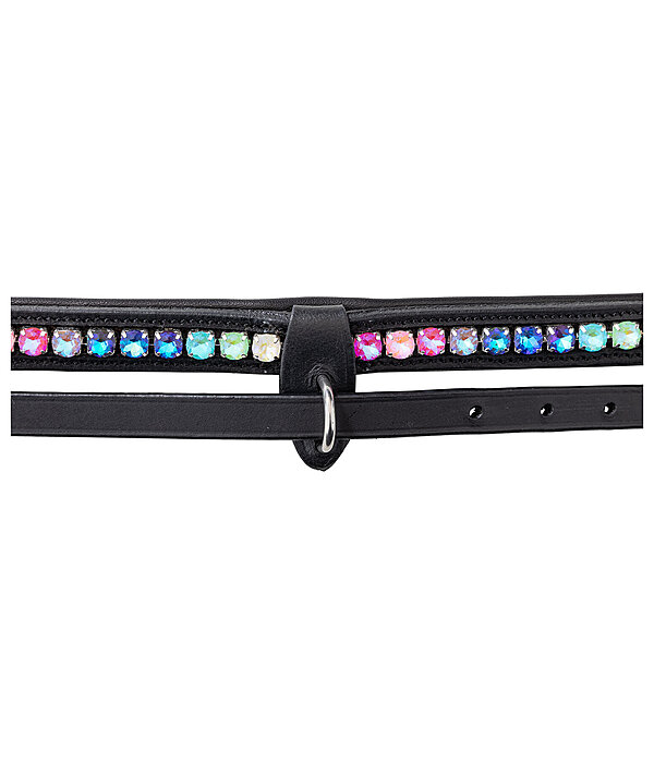 gecombineerd rijhalster Rainbow