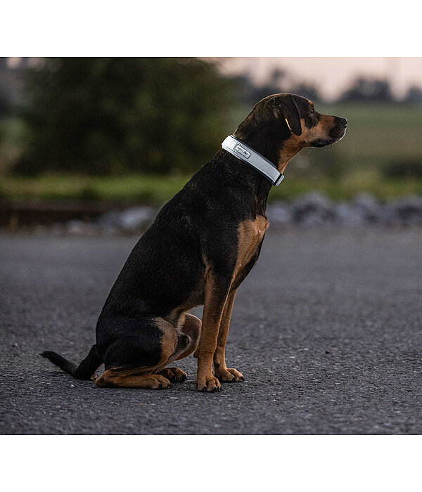 reflex honden halsband