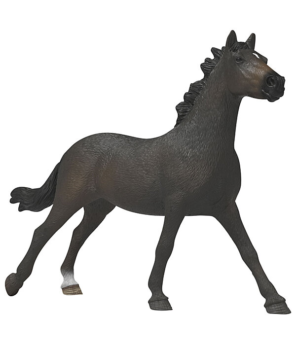 Engelse volbloed merrie