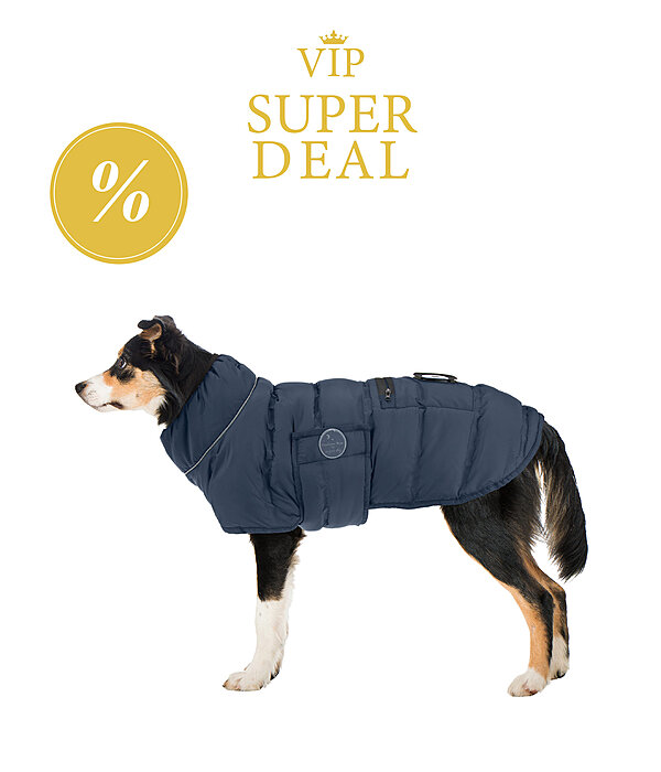 sugar dog LED gewatteerd hondenjas Arlo, 300 g
