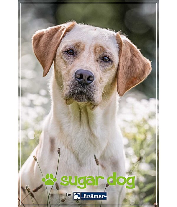 cadeaubon om online uit te printen